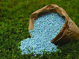 Npk 15 10 0 Fertilzer Moisture (%): 0.5