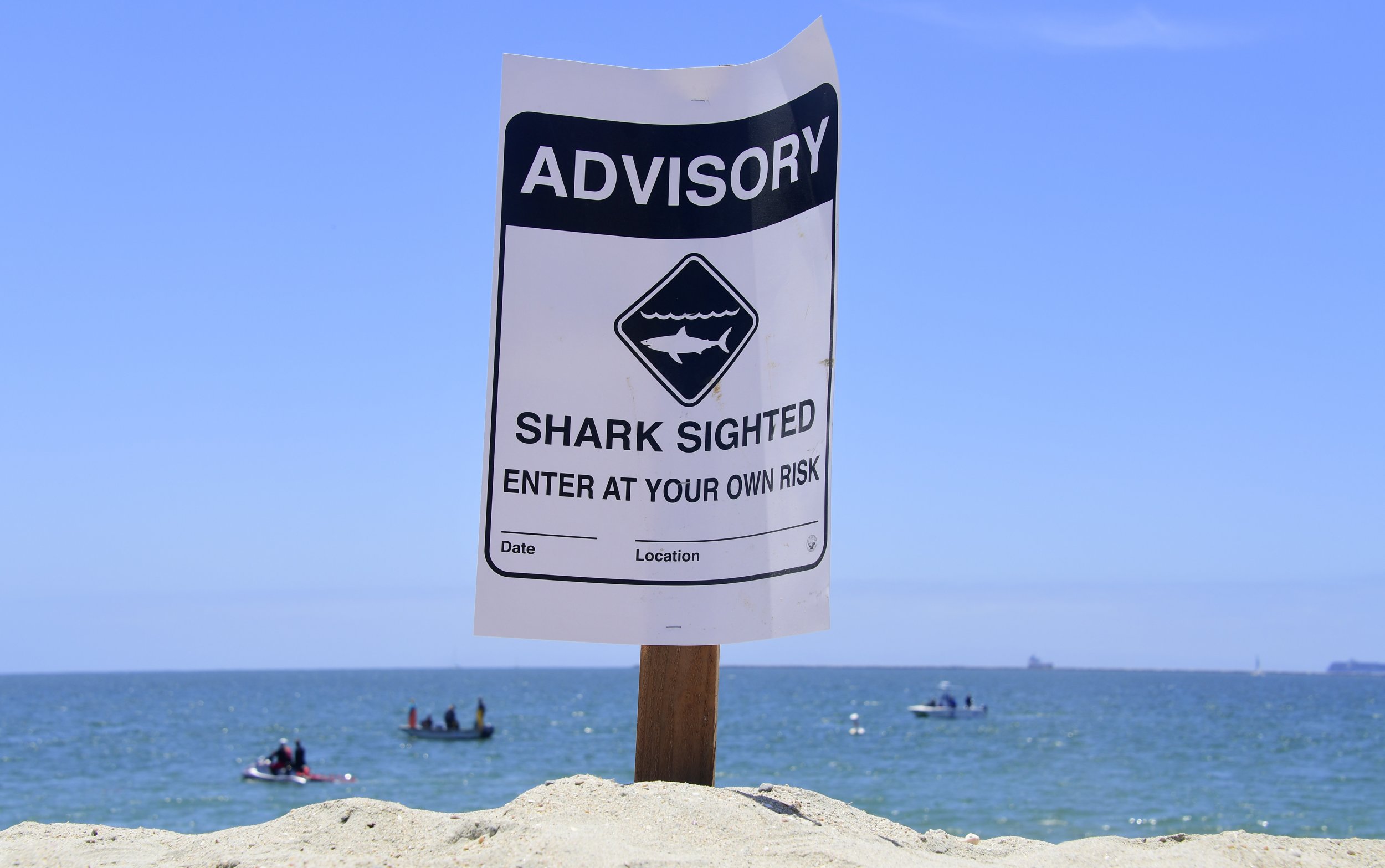 Man bitten by shark at Crystal Beach in Texas