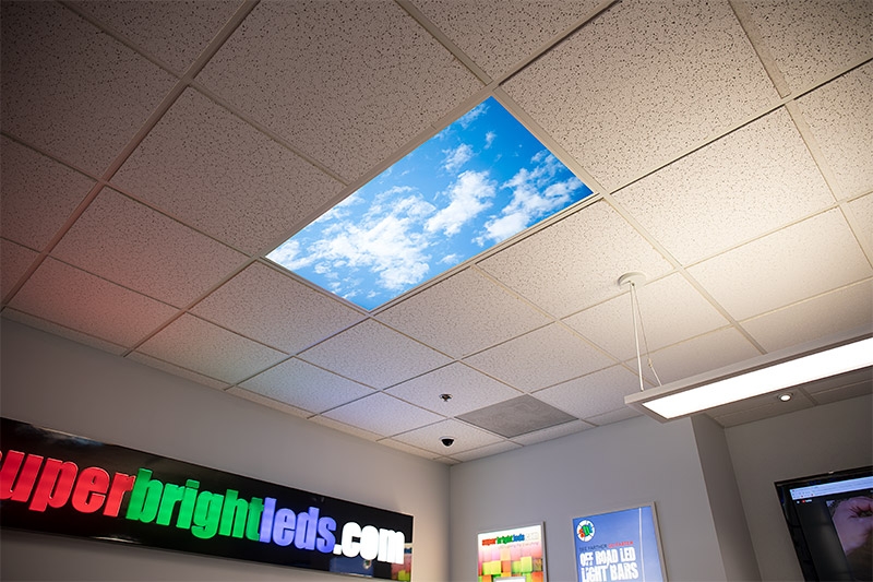 LED Skylight w/ Lazy Day Skylens® - 2x4 Dimmable LED Panel ...