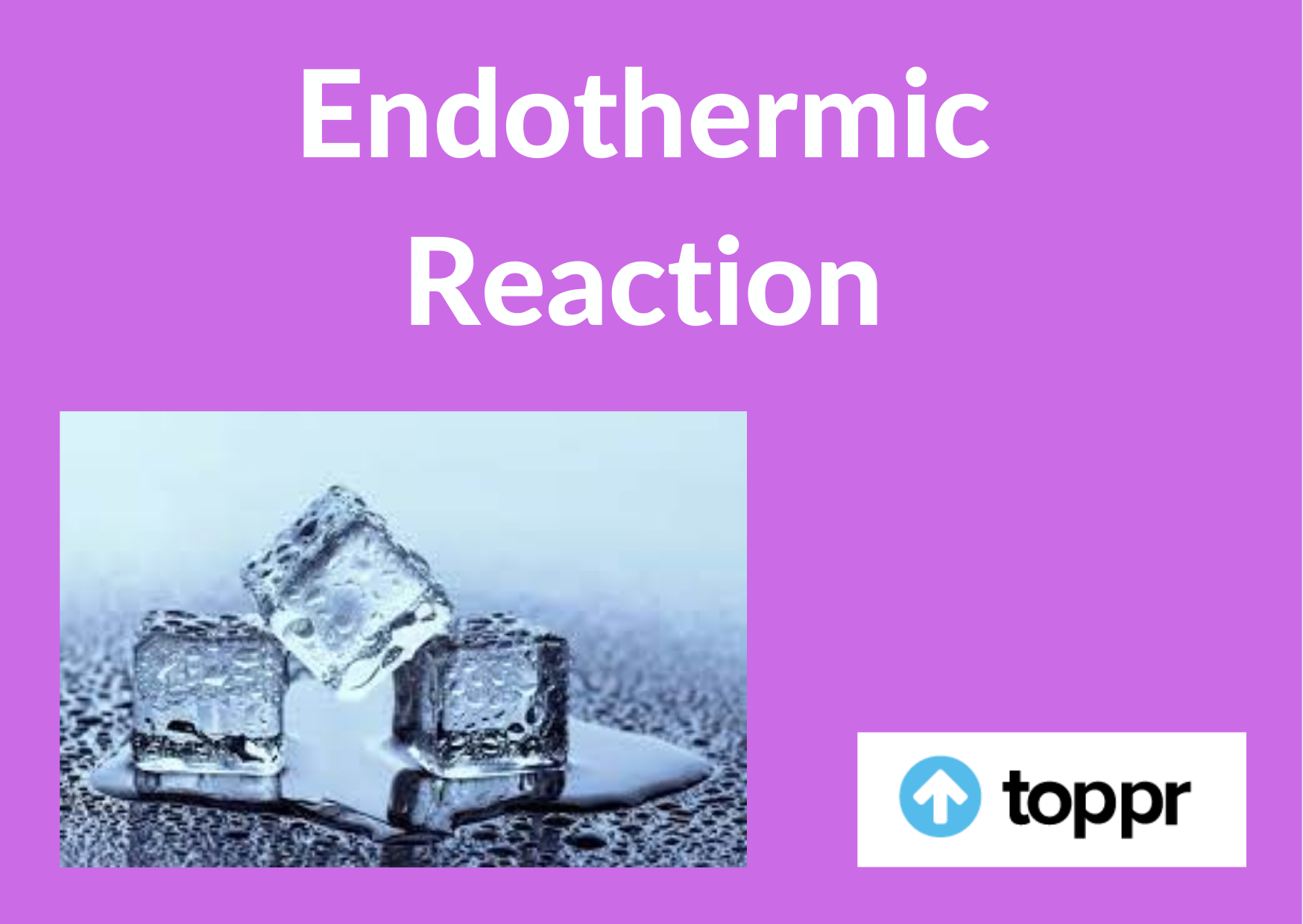 What are Endothermic Reaction: Exothermic Reactions, Examples