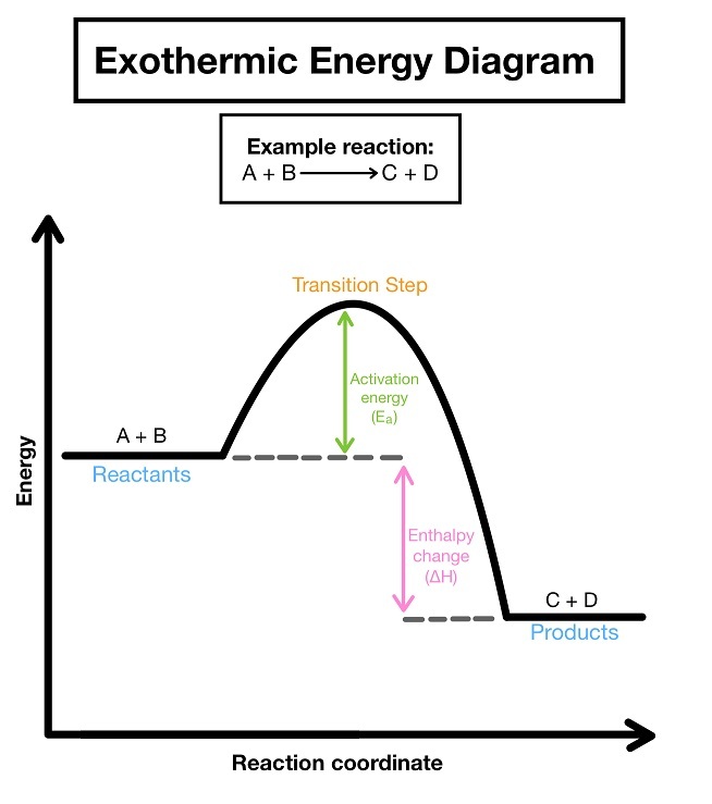 Endothermic And Exothermic Reactions