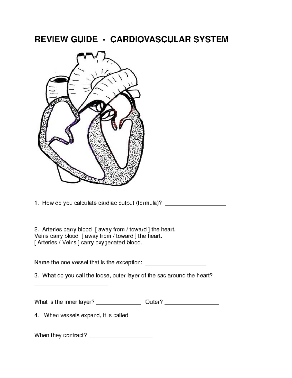 Heart Review Guide-1 - Guided notes - REVIEW GUIDE - CARDIOVASCULAR ...