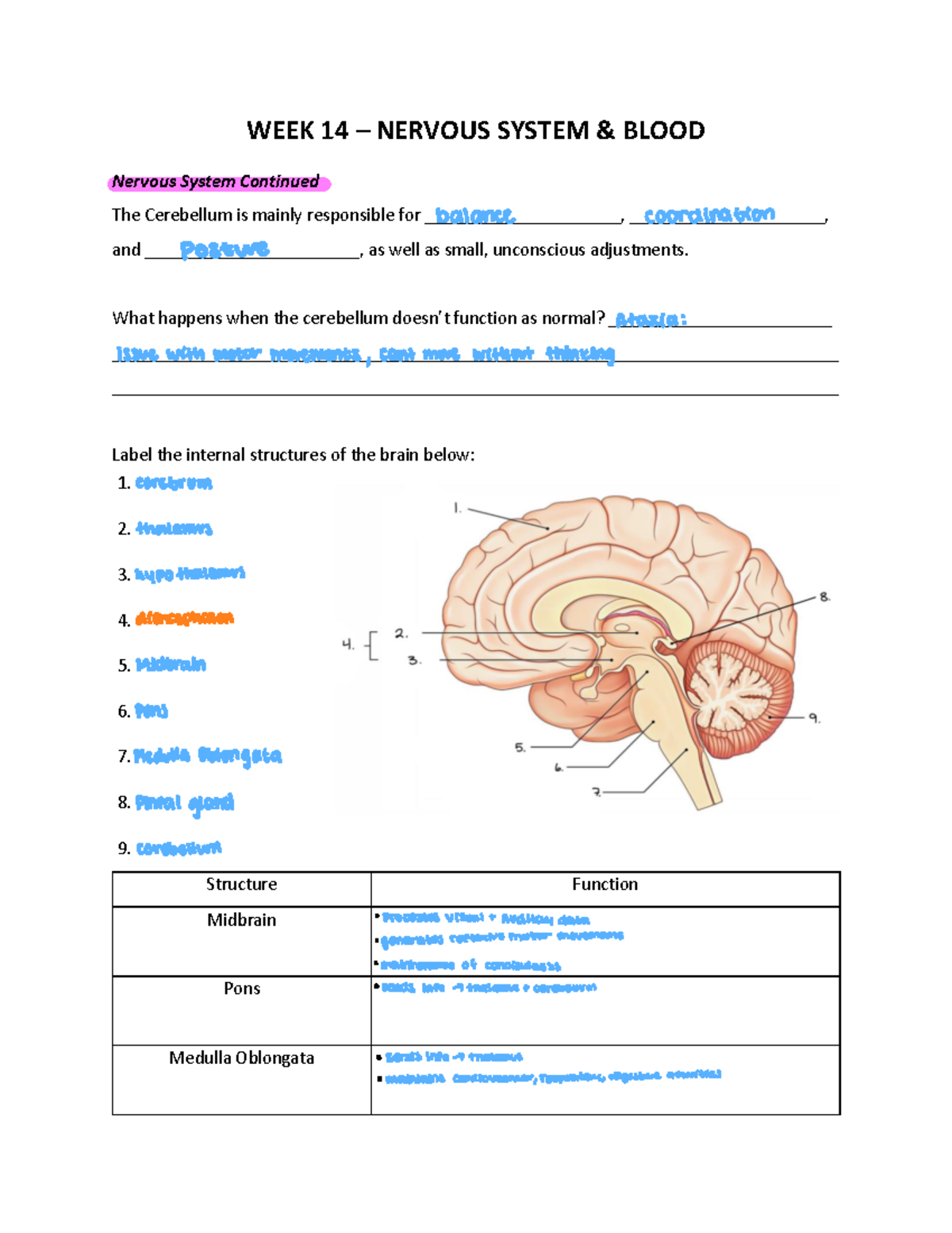 Session 10 WS - DR. Richards lecture SI - WEEK 14 – NERVOUS SYSTEM ...