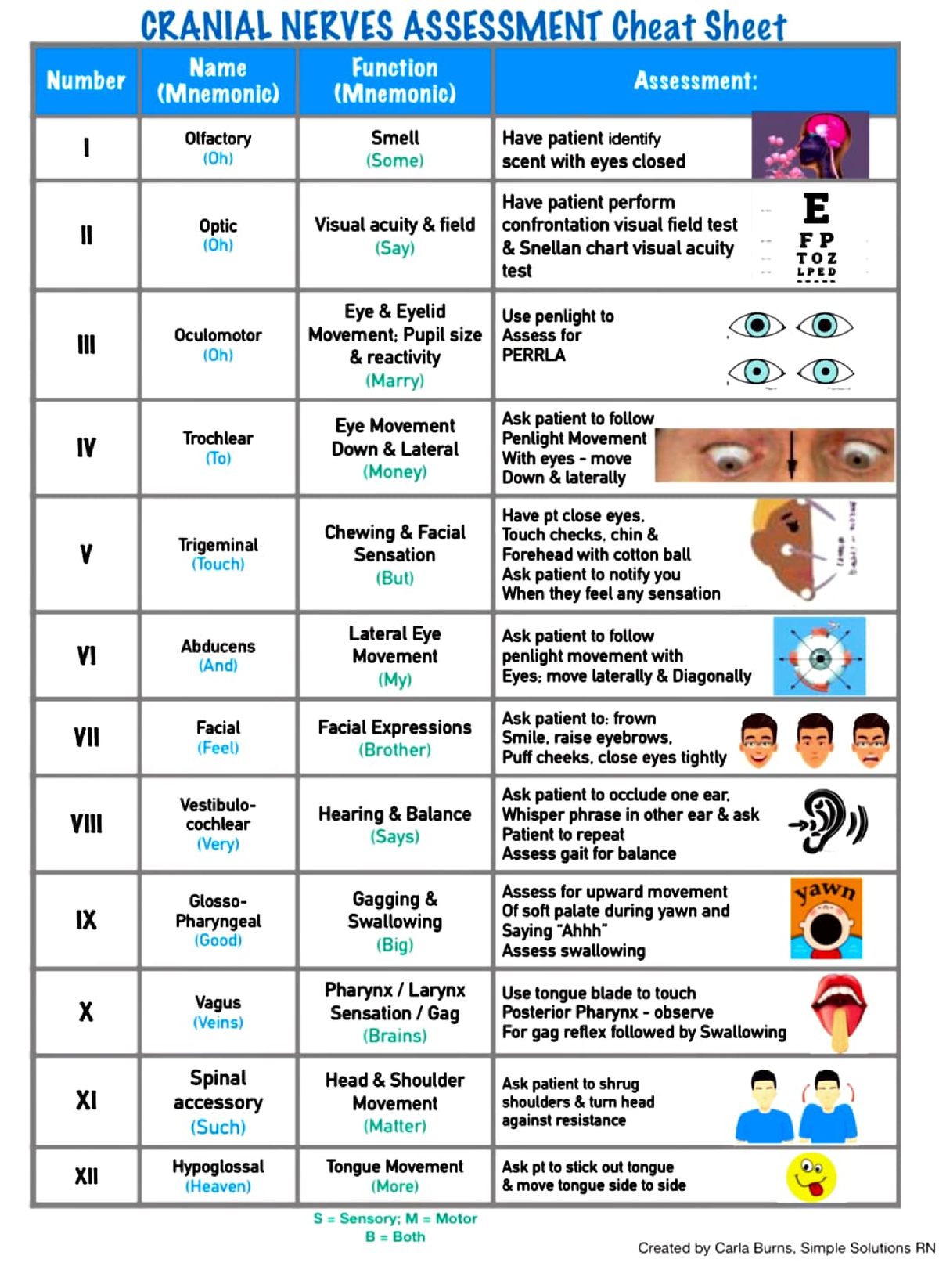 Cranial Nerves Cranial Nerves Assessment Cheatsheet Name Number ...