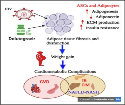 [PDF] A review of dolutegravir-associated weight gain and secondary ...