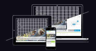 The Anatomy of Responsive ASP.NET Apps