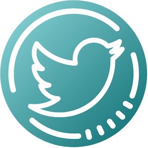 Twitter Follow Icon