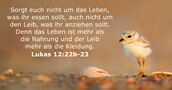 Lukas 12:22b-23