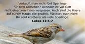 Lukas 12:6-7