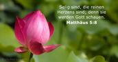 Matthäus 5:8