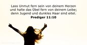 Prediger 11:10