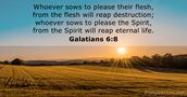 Galatians 6:8