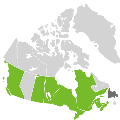 Distribution: Quercus Linnaeus