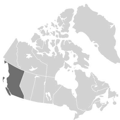 Distribution: Trifolium alexandrinum Linnaeus