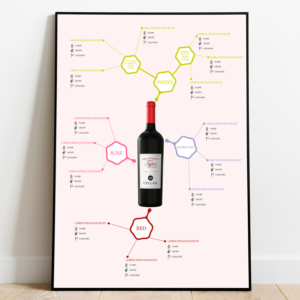 Creative wine menu - infographic | Menu Design by JanuXart