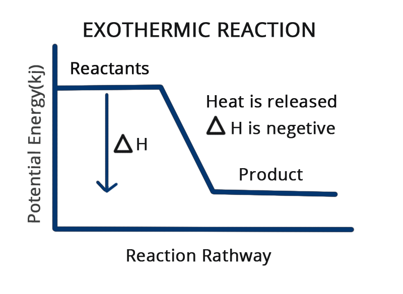 What are difference between exothermic and endothermic reactions ...