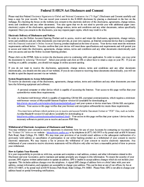 electronic signature disclosure statement example