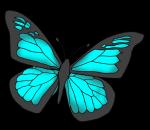 Butterfly clipart