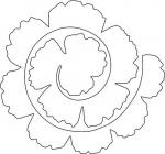 Carnation svg