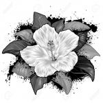 Hollyhocks clipart