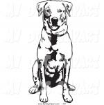 Labrador Retriever clipart