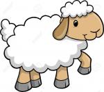 Lamb clipart