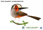 Laughningthrush clipart