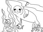 Sea Lion coloring