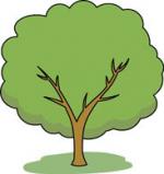 Tree clipart