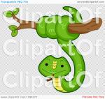 Tree Snake clipart