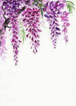 Wisteria clipart