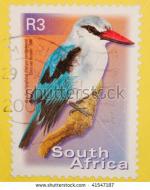 Woodland Kingfisher clipart