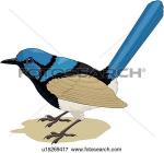 Wren clipart