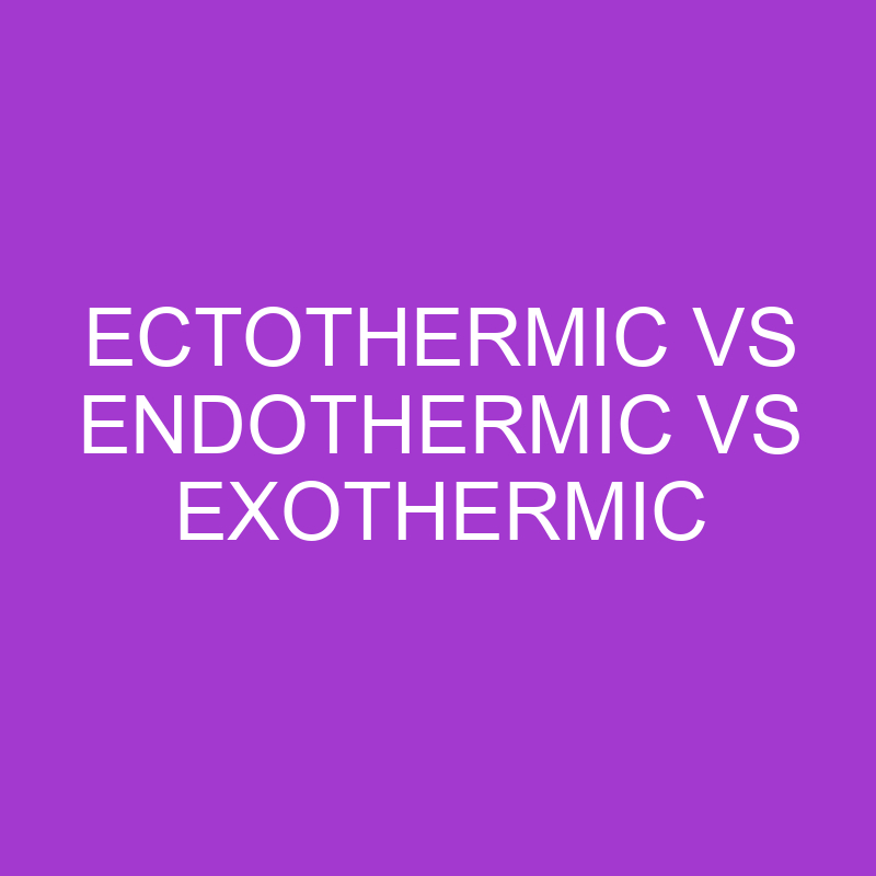 Ectothermic Vs Endothermic Vs Exothermic Process » Differencess