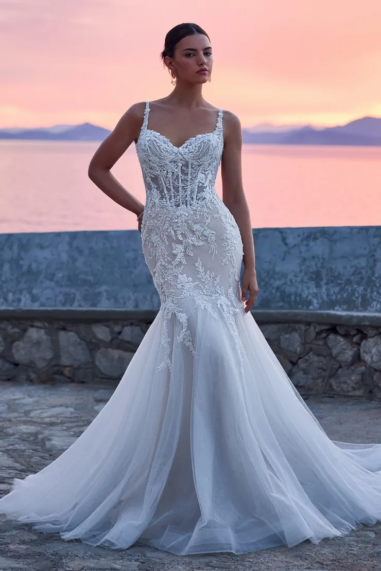 Mermaid Lace Wedding Dress with Illusion Back Blaise