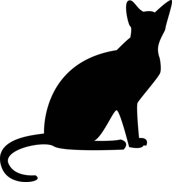 cat puss sitting domestic cat  svg vector cut file