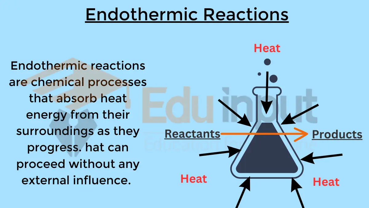 Endothermic Reactions-Characteristics, Identification, and Examples