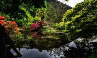 Take a Trip to 12 Wonderful Flower Gardens across Europe