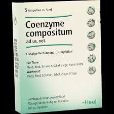 We did not find results for: Coenzyme Compositum Ad Us Vet Ampullen 5x5 Ml