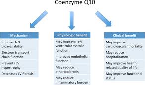 Maybe you would like to learn more about one of these? Coenzyme Q10 And Heart Failure Circulation Heart Failure