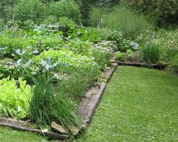 Once the line is secure, you can move the bricks out of the way and begin to dig the trench. Edging Ideas To Keep Weeds And Lawn Away From Flower Beds Hgtv