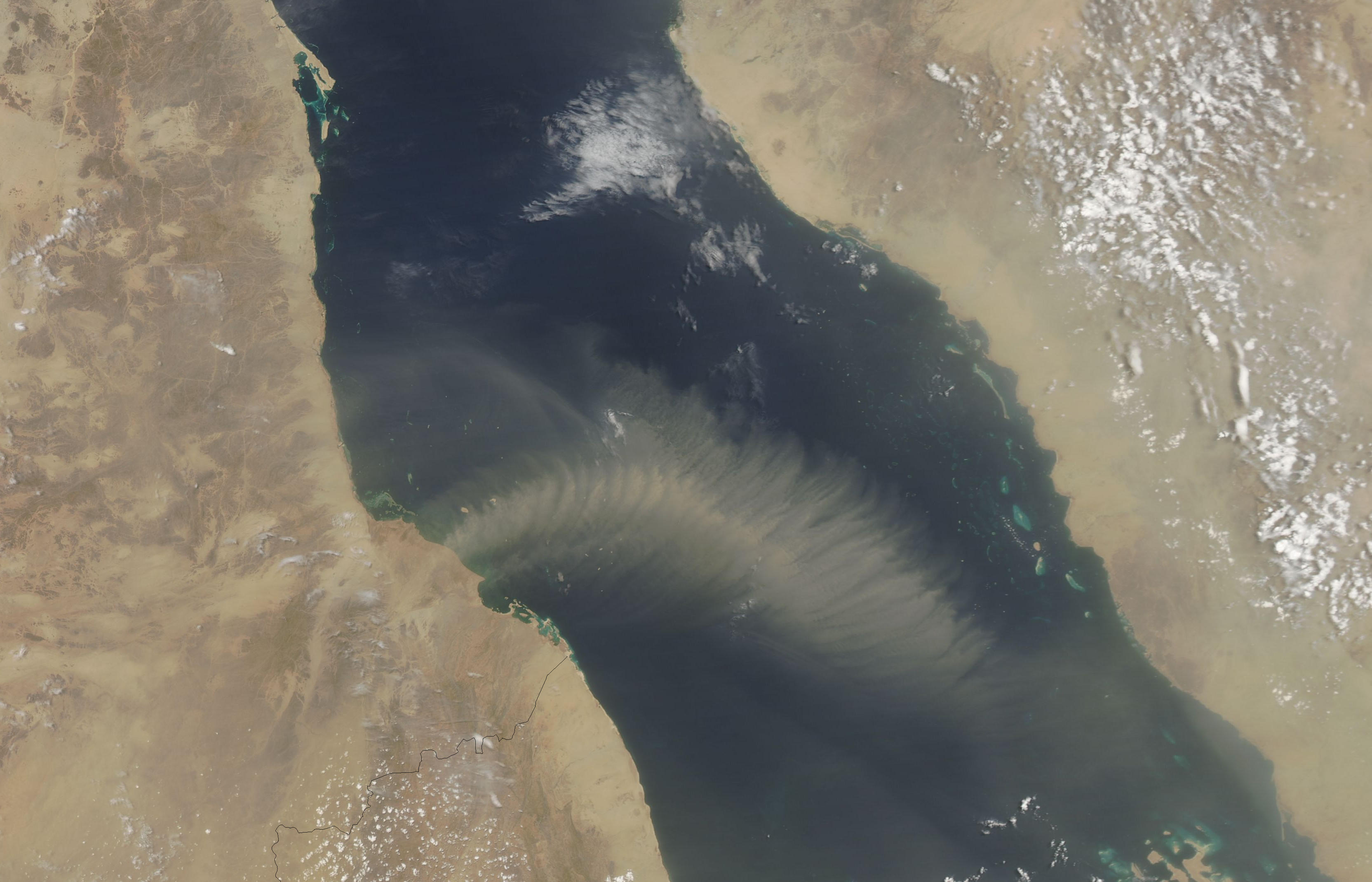 solitary dog sculptor: NASA: Red Sea area - Blowing from Sudan - A ...