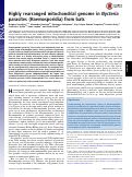 Cover page: Highly rearranged mitochondrial genome in Nycteria parasites (Haemosporidia) from bats