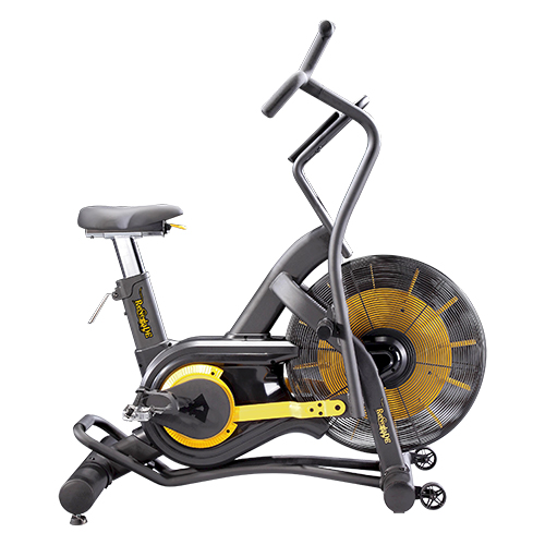 Air Bike AB100