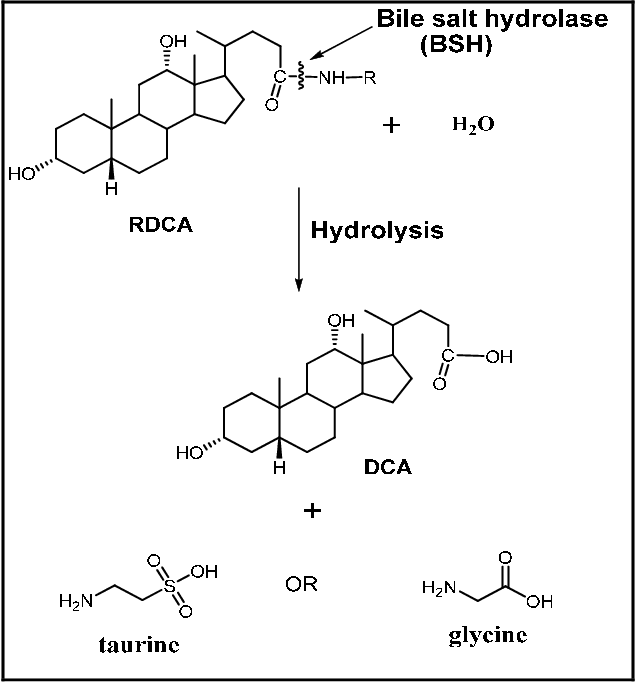 figure 1.2