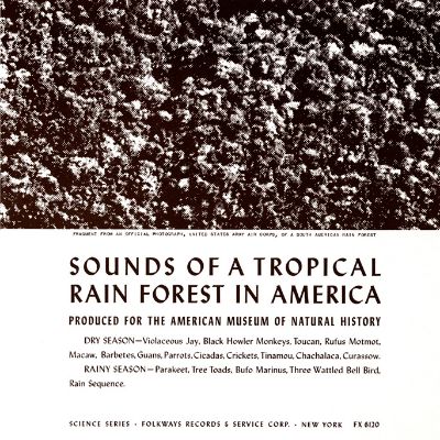 Sounds of a Tropical Rain Forest in America