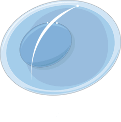 Zygote