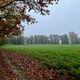 Encore et toujours un ciel bien gris (Phalempin 59)