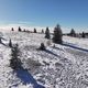 Un peu de neige est tombée au Champ du feu ce dimanche. Un léger manteau blanc qui devrait concerner tout le sud de l'Alsace dès mercredi.