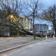 Un arbre tombé, bd Gustave Roch à Nantes, le 21 novembre 2024